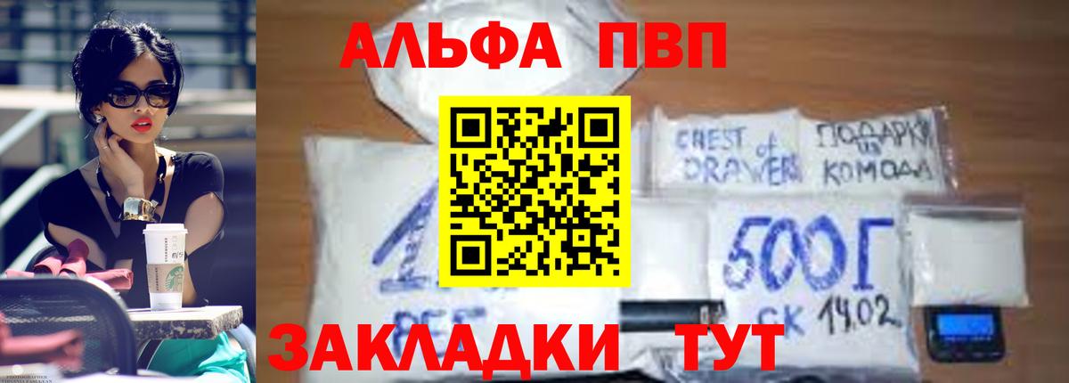 хочу   Альфа ПВП СК КРИС  Вход с VPN  Alfa_PVP СК КРИС  Сегежа 