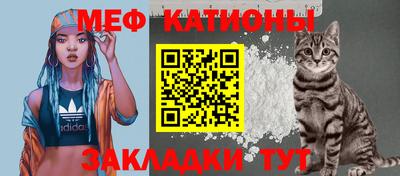 крисы Новозыбков