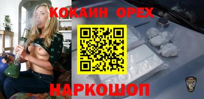 крисы Новозыбков