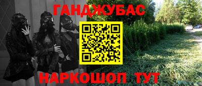 крисы Новозыбков
