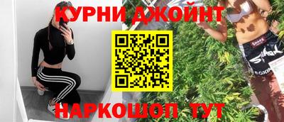 крисы Новозыбков