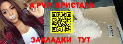 крисы Новозыбков