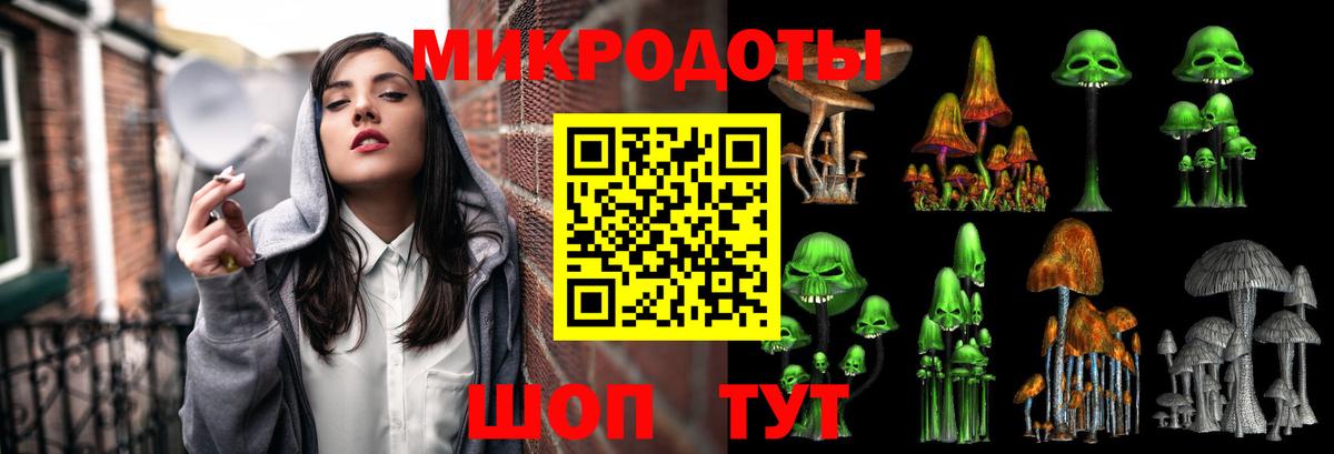 Галлюциногенные грибы Psilocybine cubensis Сегежа
